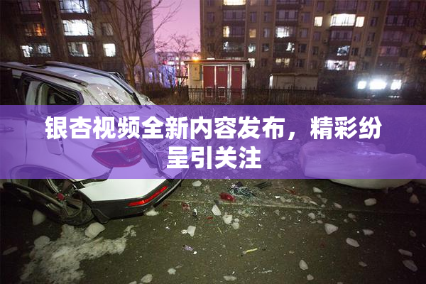 银杏视频全新内容发布，精彩纷呈引关注