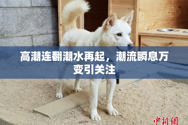 高潮连翻潮水再起，潮流瞬息万变引关注