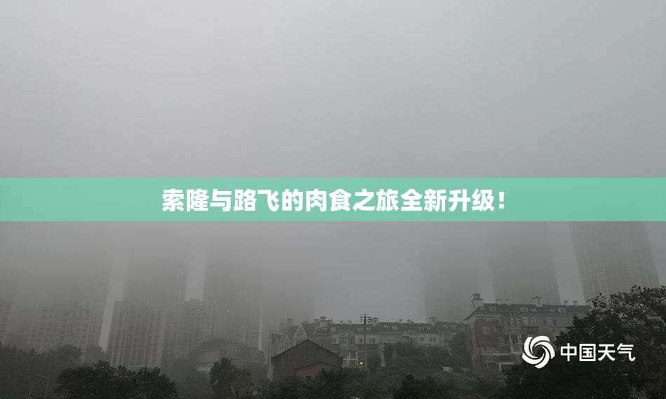 索隆与路飞的肉食之旅全新升级！