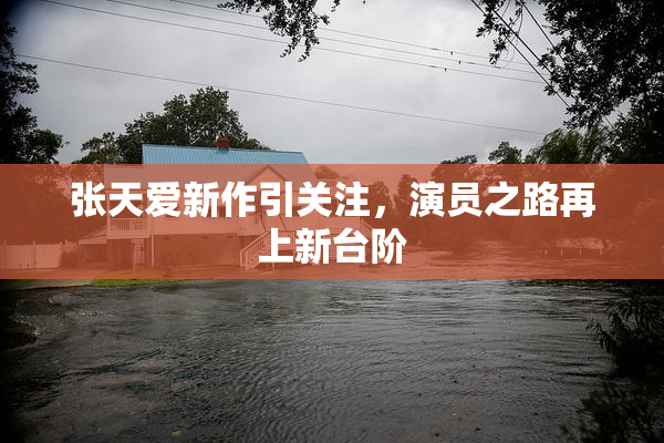 张天爱新作引关注，演员之路再上新台阶