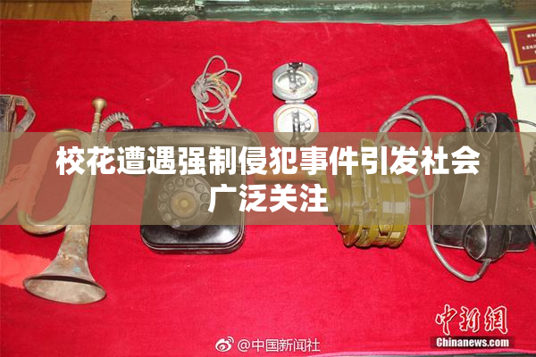 校花遭遇强制侵犯事件引发社会广泛关注