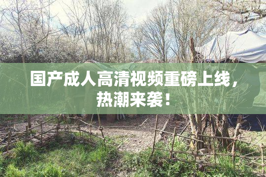 国产成人高清视频重磅上线，热潮来袭！