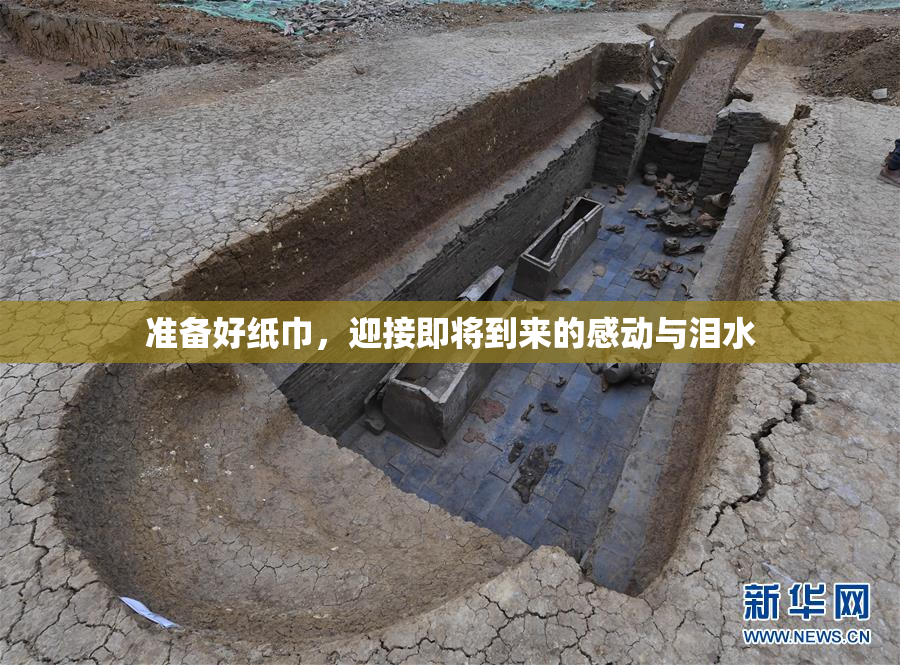 准备好纸巾，迎接即将到来的感动与泪水