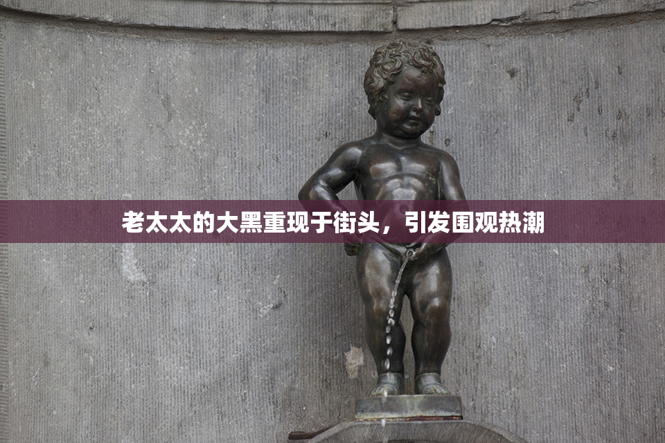 老太太的大黑重现于街头，引发围观热潮