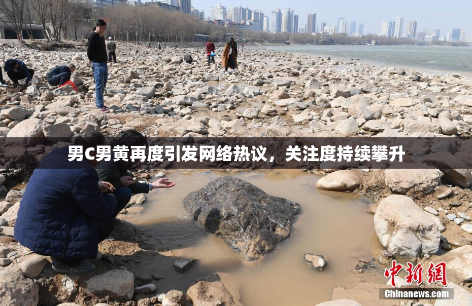 男C男黄再度引发网络热议，关注度持续攀升