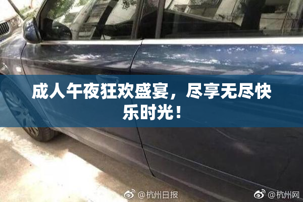 成人午夜狂欢盛宴，尽享无尽快乐时光！