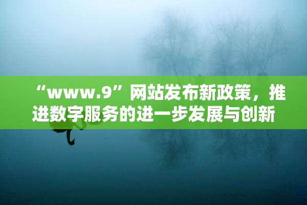 “www.9”网站发布新政策，推进数字服务的进一步发展与创新。
