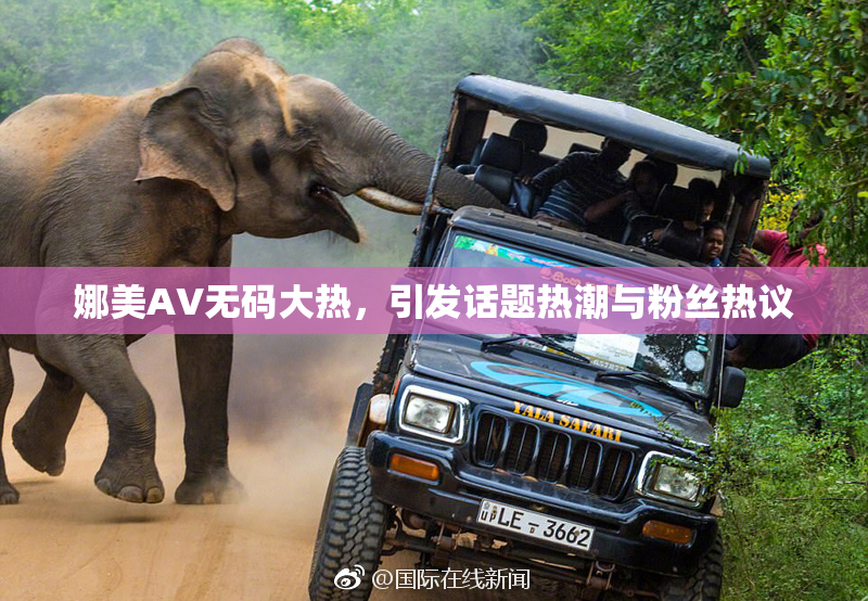娜美AV无码大热，引发话题热潮与粉丝热议