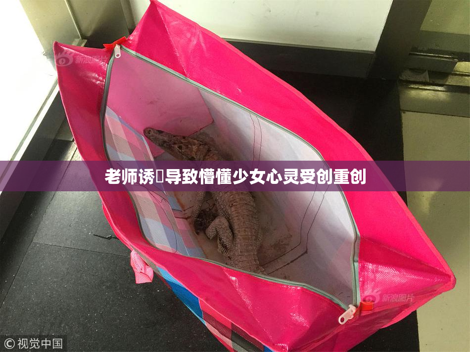 老师诱奷导致懵懂少女心灵受创重创