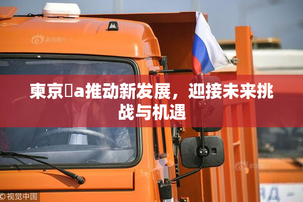 柬京埶a推动新发展，迎接未来挑战与机遇