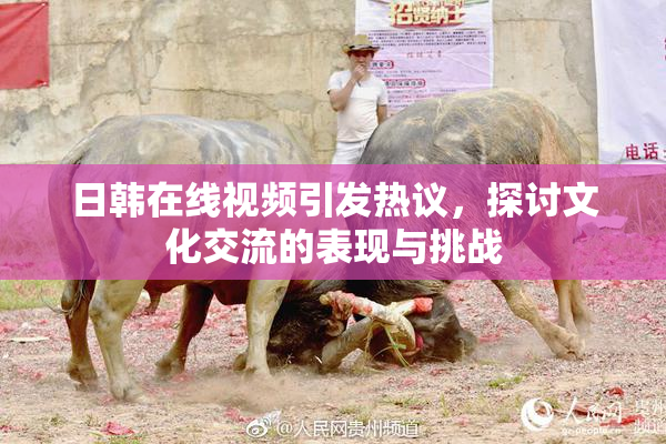 日韩在线视频引发热议，探讨文化交流的表现与挑战