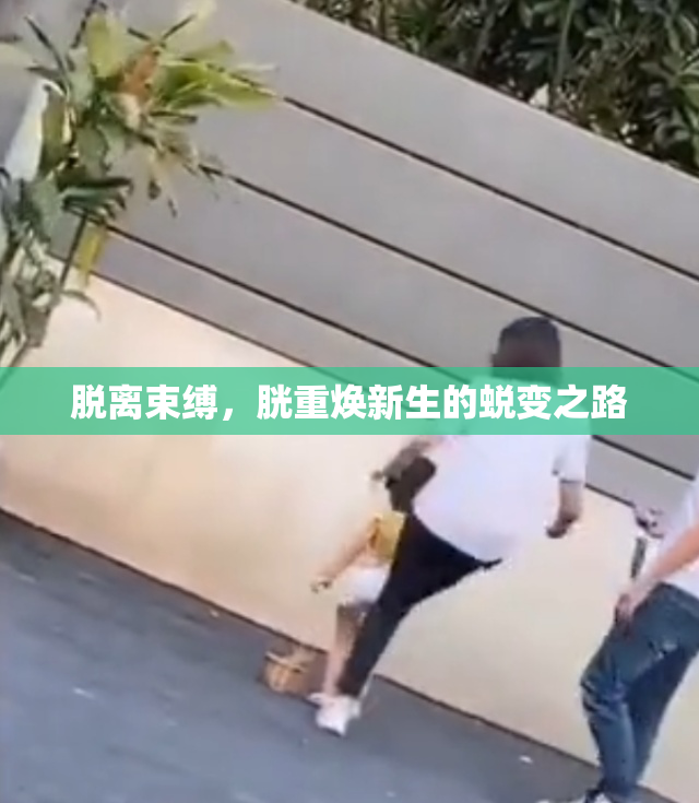 脱离束缚，胱重焕新生的蜕变之路