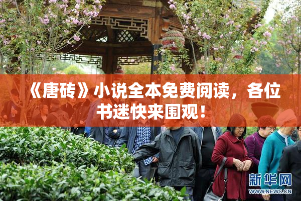 《唐砖》小说全本免费阅读，各位书迷快来围观！