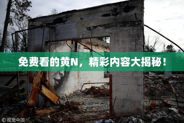 免费看的黄Ν，精彩内容大揭秘！