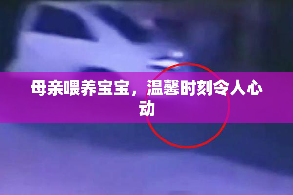 母亲喂养宝宝，温馨时刻令人心动