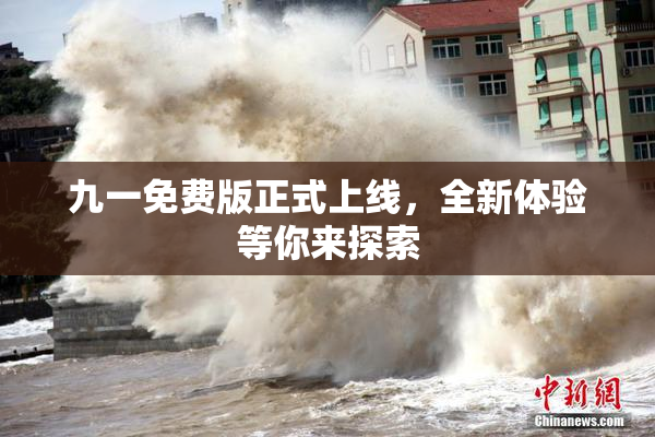 九一免费版正式上线，全新体验等你来探索
