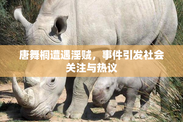 唐舞桐遭遇淫贼，事件引发社会关注与热议