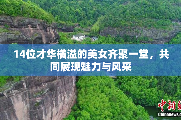 14位才华横溢的美女齐聚一堂，共同展现魅力与风采
