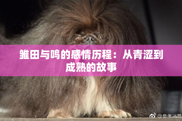 雏田与鸣的感情历程：从青涩到成熟的故事