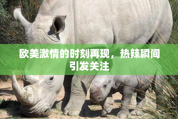 欧美激情的时刻再现，热辣瞬间引发关注