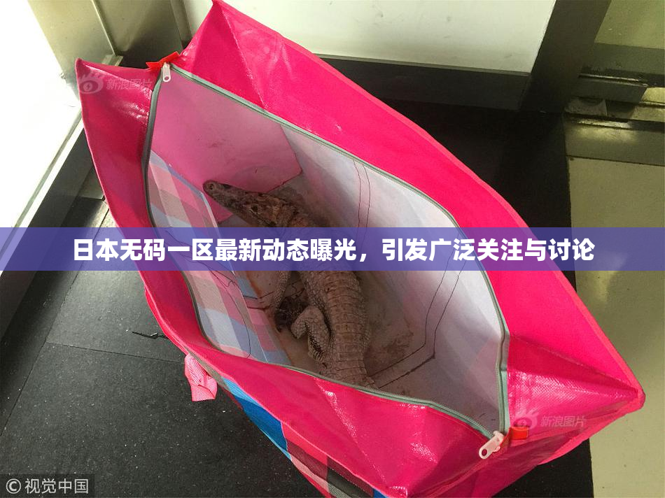 日本无码一区最新动态曝光，引发广泛关注与讨论