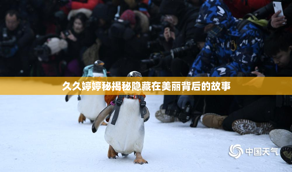 久久婷婷秘揭秘隐藏在美丽背后的故事