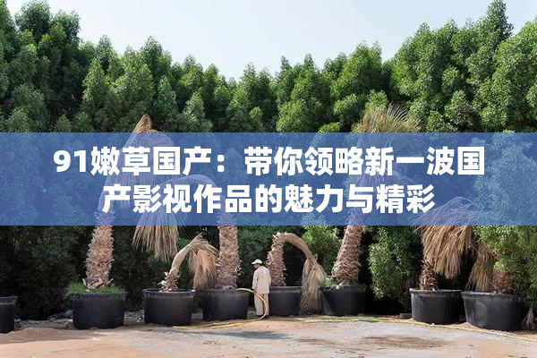 91嫩草国产：带你领略新一波国产影视作品的魅力与精彩