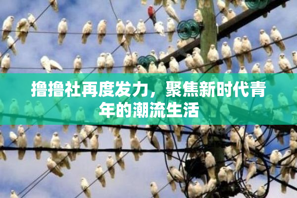 撸撸社再度发力，聚焦新时代青年的潮流生活