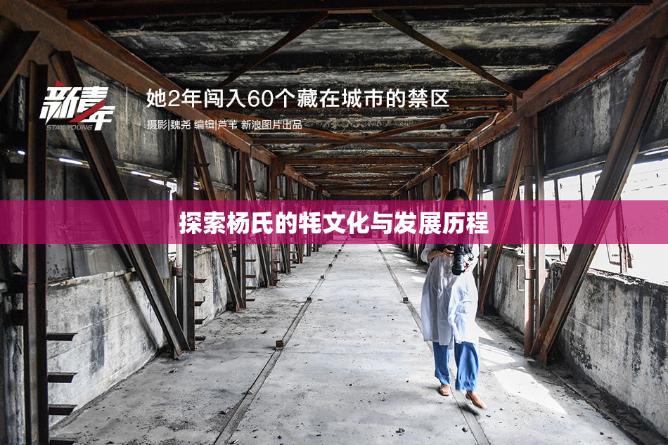 探索杨氏的牦文化与发展历程