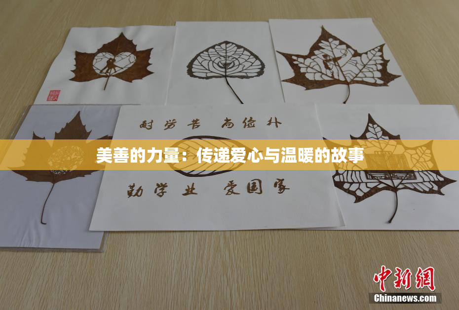 美善的力量：传递爱心与温暖的故事