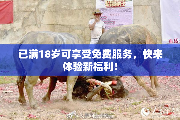 已满18岁可享受免费服务，快来体验新福利！