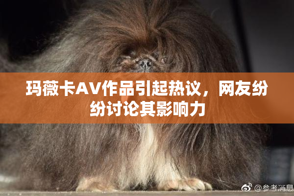 玛薇卡AV作品引起热议，网友纷纷讨论其影响力