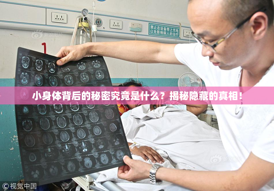 小身体背后的秘密究竟是什么？揭秘隐藏的真相！