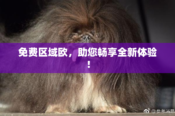 免费区域欧，助您畅享全新体验！
