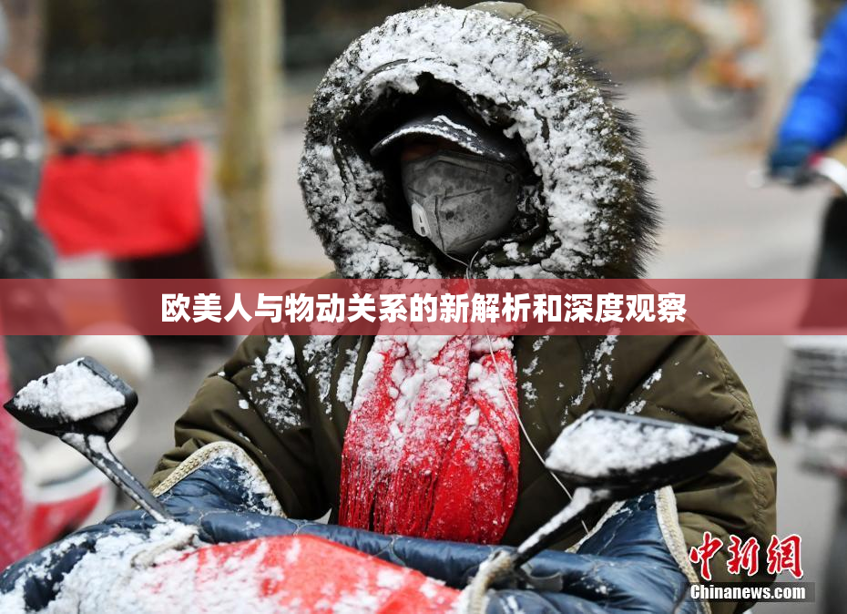 欧美人与物动关系的新解析和深度观察