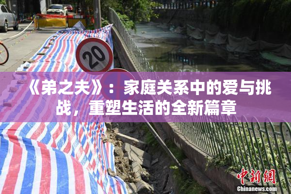 《弟之夫》：家庭关系中的爱与挑战，重塑生活的全新篇章