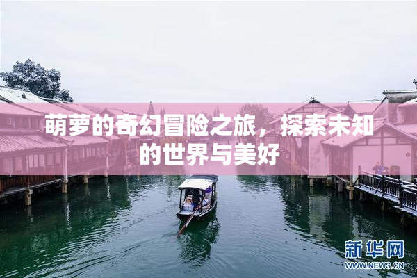 萌萝的奇幻冒险之旅，探索未知的世界与美好
