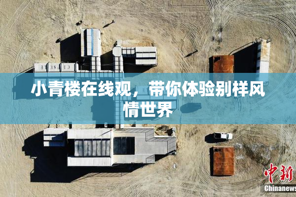 小青楼在线观，带你体验别样风情世界