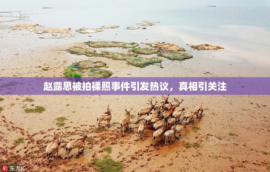 赵露思被拍裸照事件引发热议，真相引关注