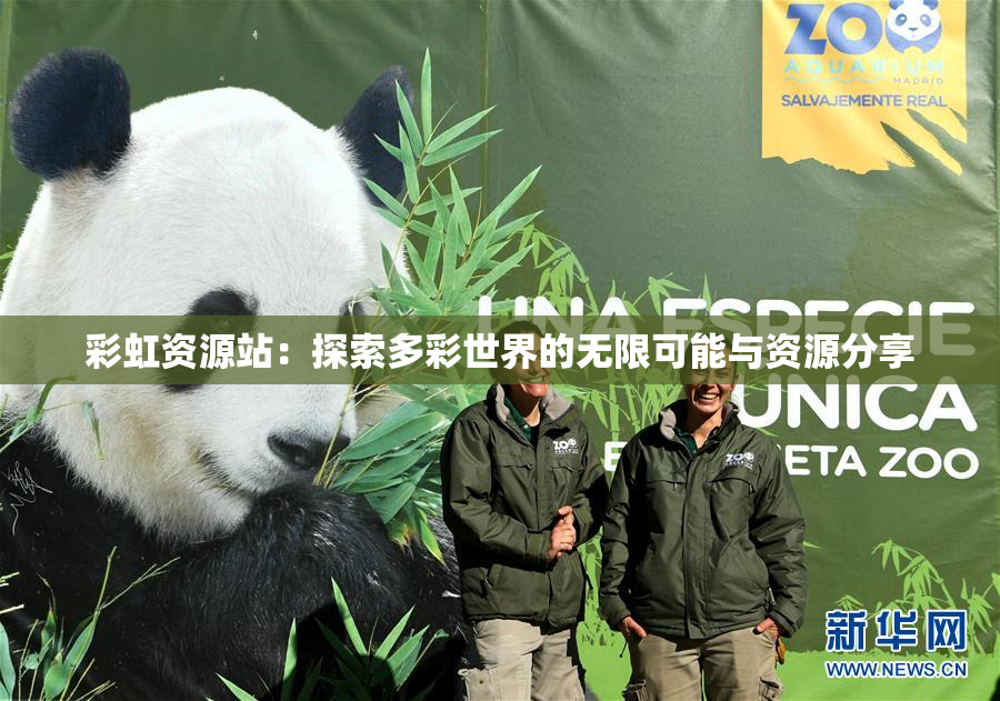 彩虹资源站：探索多彩世界的无限可能与资源分享