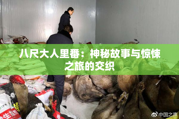 八尺大人里番：神秘故事与惊悚之旅的交织