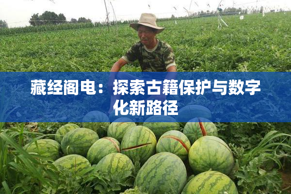 藏经阁电：探索古籍保护与数字化新路径