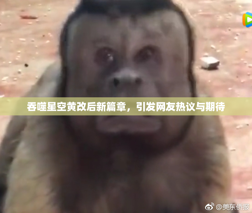 吞噬星空黄改后新篇章，引发网友热议与期待