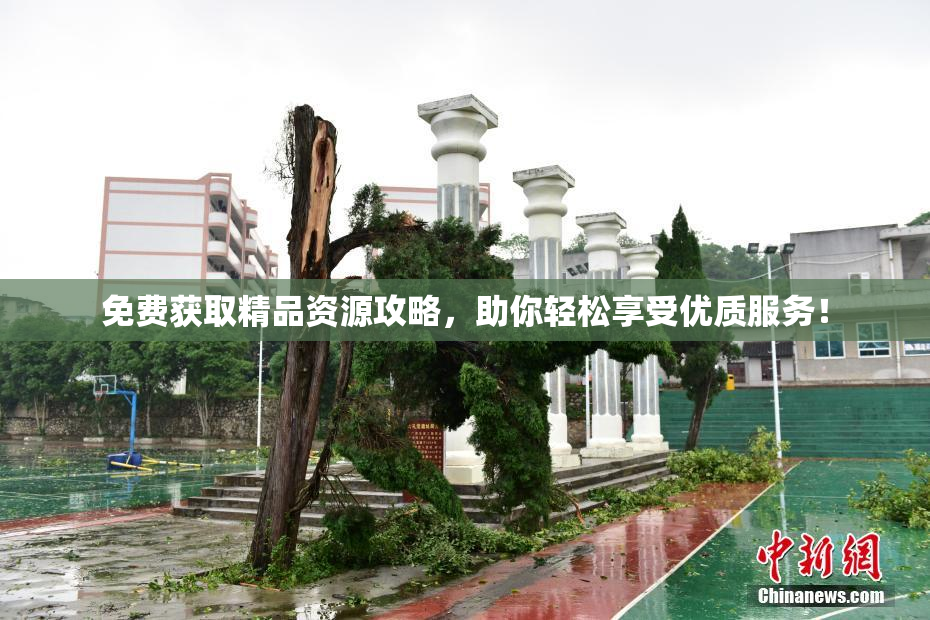 免费获取精品资源攻略，助你轻松享受优质服务！