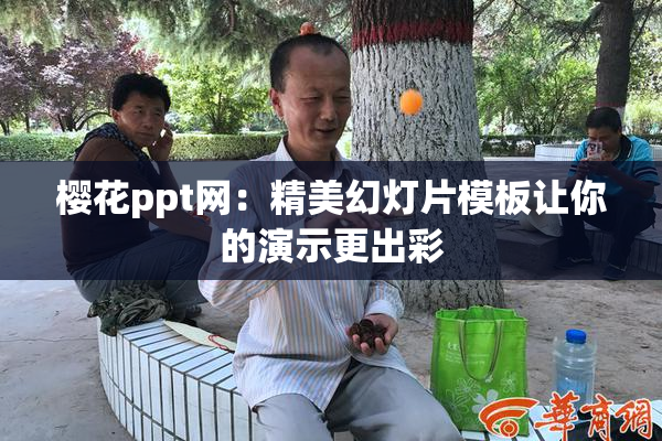 樱花ppt网：精美幻灯片模板让你的演示更出彩