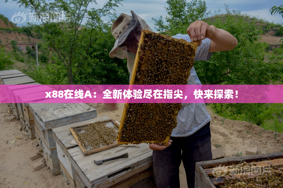 x88在线A：全新体验尽在指尖，快来探索！