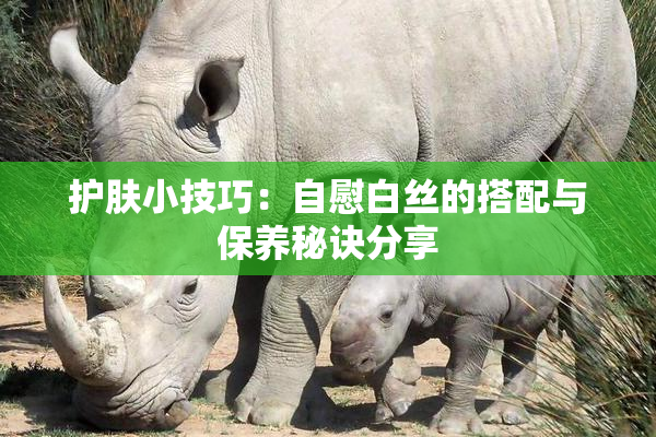 护肤小技巧：自慰白丝的搭配与保养秘诀分享