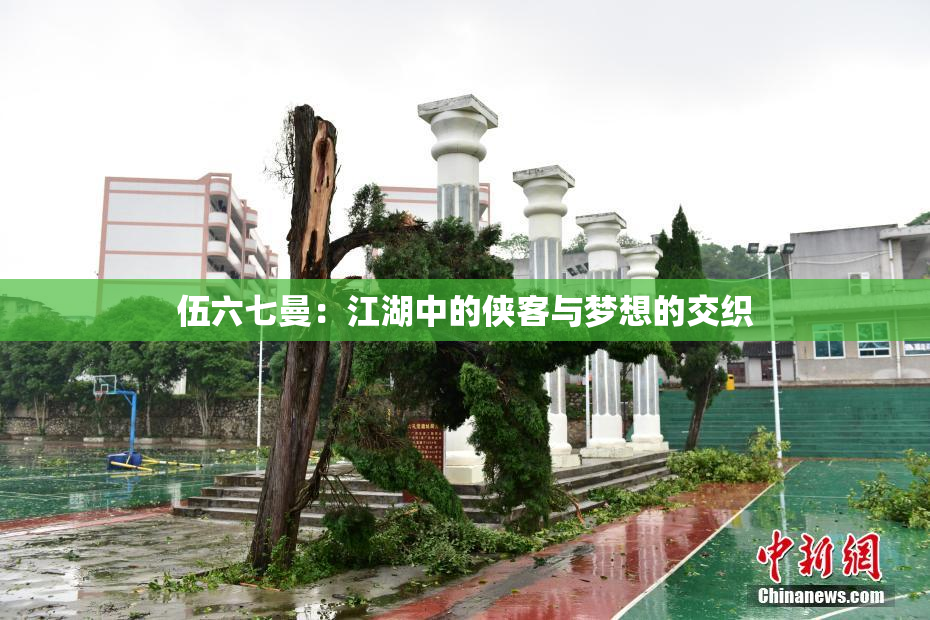 伍六七曼：江湖中的侠客与梦想的交织
