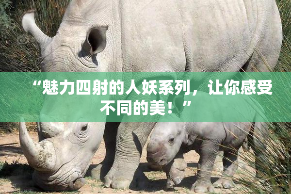 “魅力四射的人妖系列，让你感受不同的美！”