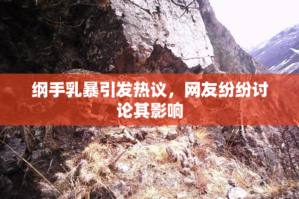 纲手乳暴引发热议，网友纷纷讨论其影响